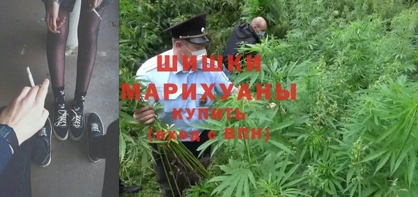 молекула духа Алзамай