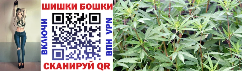 где купить   Бирюч  Каннабис OG Kush 